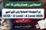 Private Candidate Registration Opens for GCSE, O Level, A Levels 2026